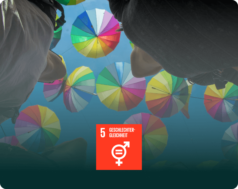 asset_media_background__GenderEquality_with_SDG