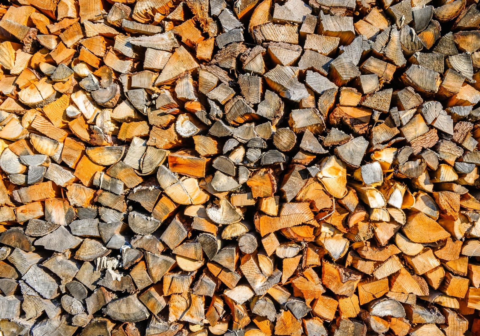 asset_media_TileImage_DE_StoryHeader_RadiTagFromWordPress_Biomass